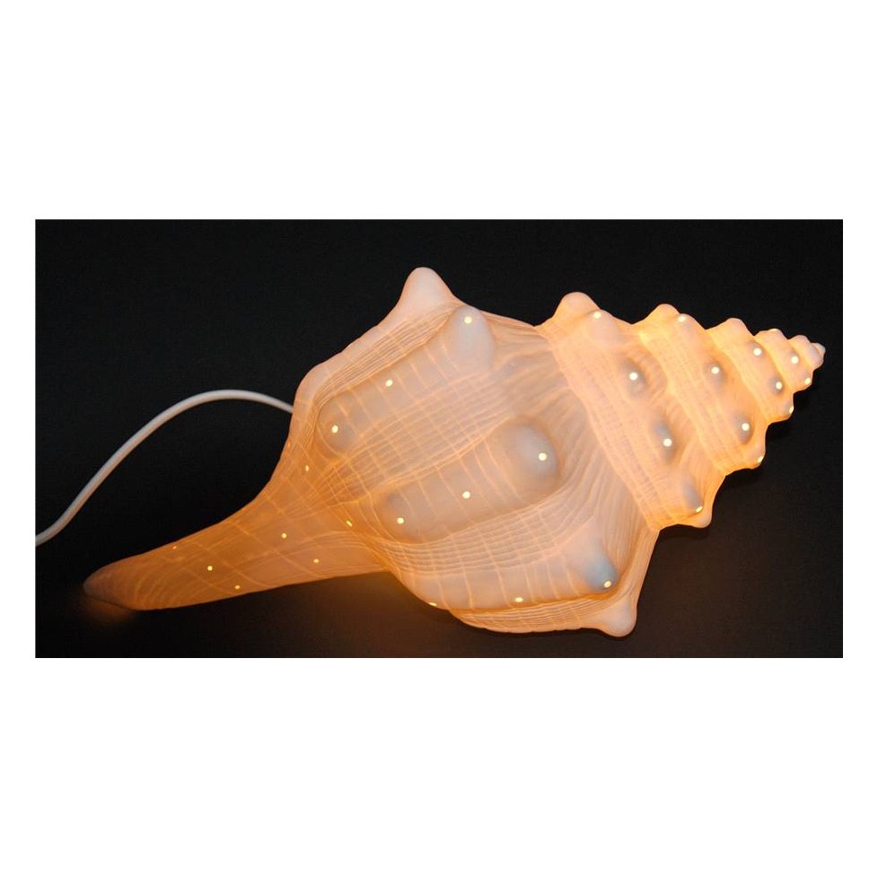 "SEASHELL" LAMP