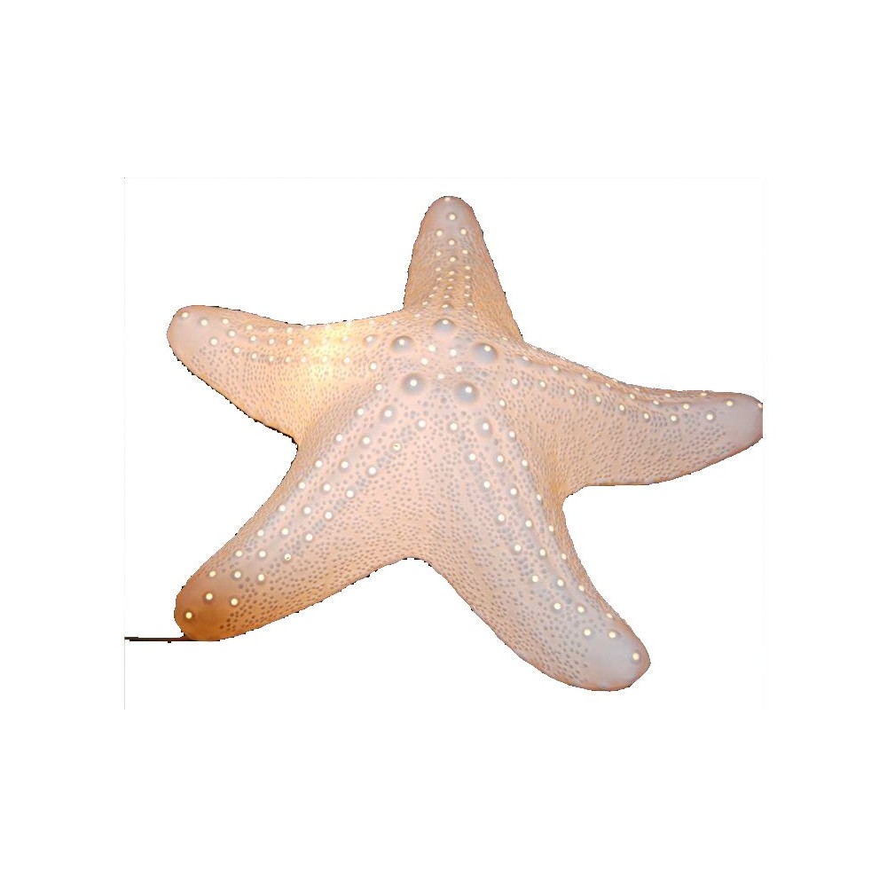1PCS Rukars Estrella de Mar Luces Flotantes Piscinas Iluminación RGB Multicolor Luces LED Impermeables Piscina Lámpara de Estrella de Mar Magnética para Jacuzzi/Spa/Jardín/Decor Interior Exterior 