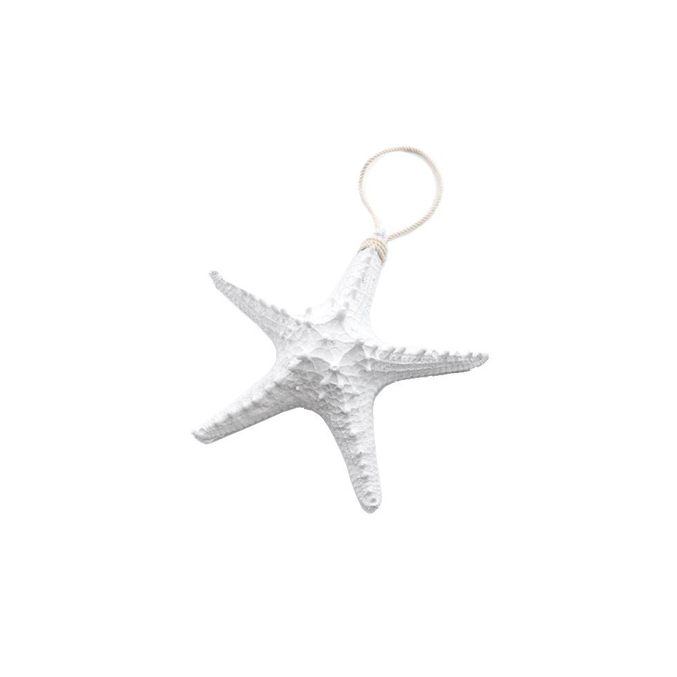 Estrella de mar blanca común 2 PC Estrella de mar pequeña Boda en la playa Estrella  de mar blanca Decoración del hogar costero Decoración náutica Suministro de  conchas marinas -  España