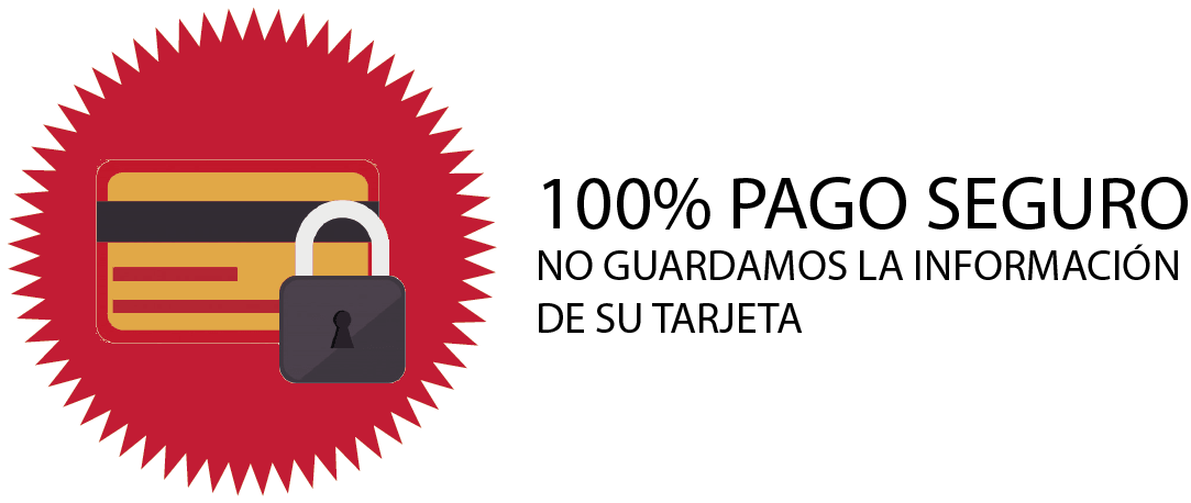 Pago seguro 100%